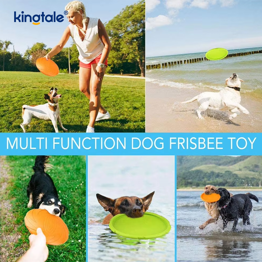 Frisbee dla zwierząt