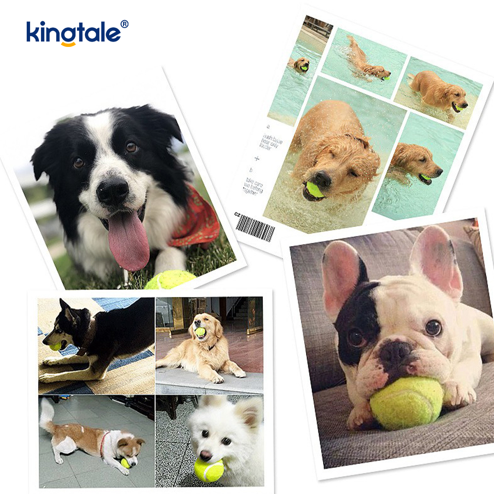 Pet Toy Tennis Wytrzymały i odporny na ugryzienia do interaktywnego ćwiczenia żucia zwierząt domowych