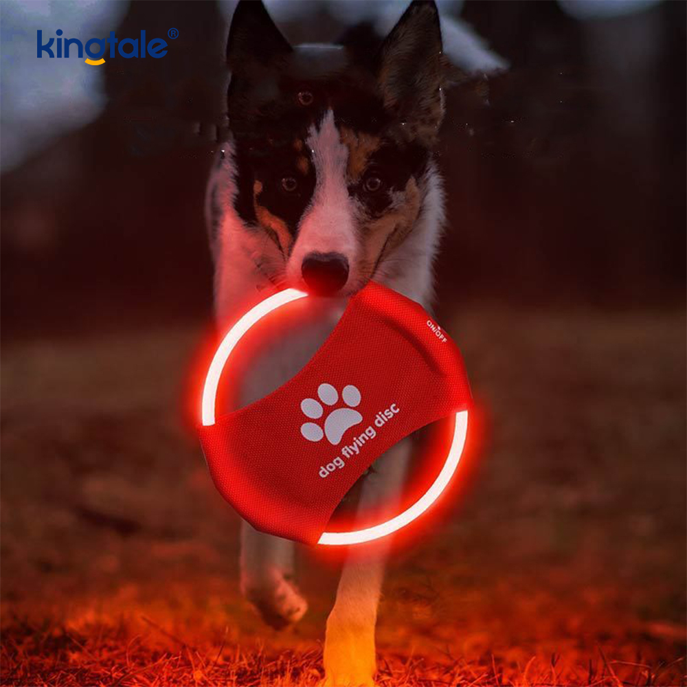 Świecące frisbee dla zwierząt domowych. Oświetlone zwierzątko treningowe. Rzucanie. Zabawa i ćwiczenia