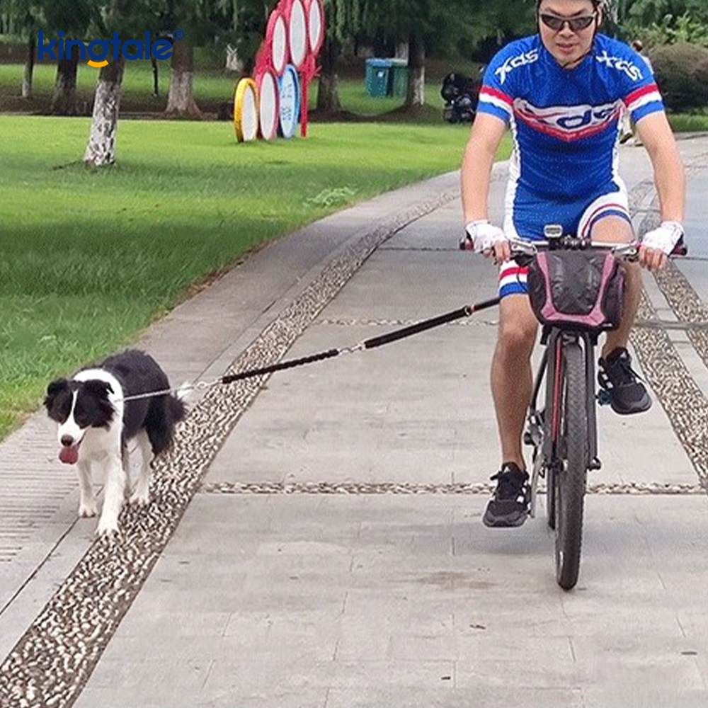 Mocowanie do smyczy rowerowej dla psa Lina do przypinania psa rowerowego bez użycia rąk