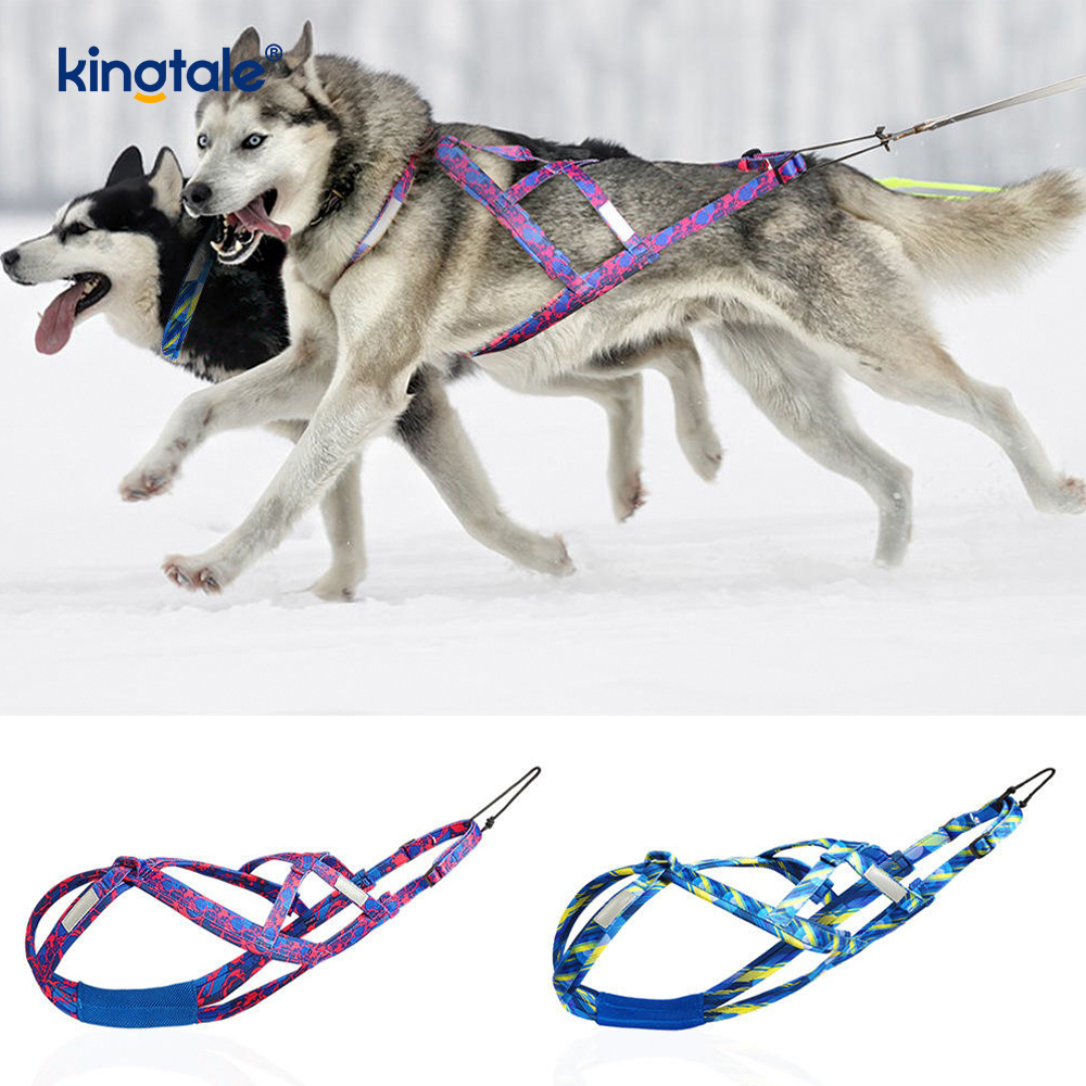 Pies ciągnący Husky Mushing Harness X Uprząż tylna dla psów